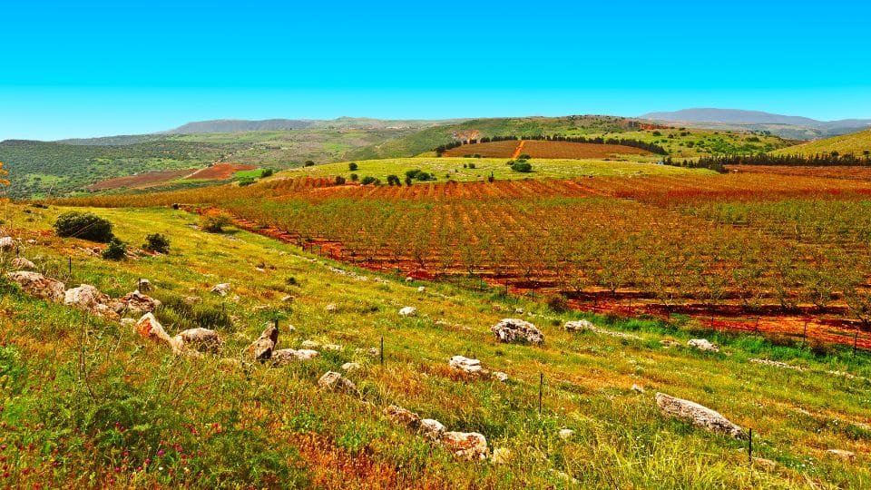 בייבי מון - לאן מומלץ לנסוע לחופשה אחרי לידה?
