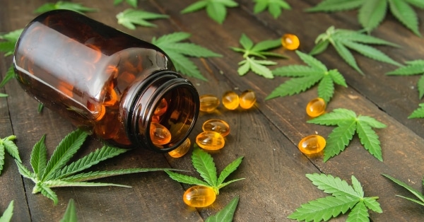 קפסולות CBD