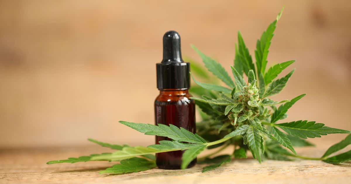 מהם היתרונות הבריאותיים של CBD לאחר לידה